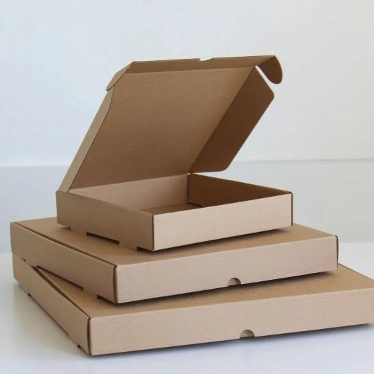 Fiswell_-555891312_1 CAJA PIZZAS 42 - Imagen 1