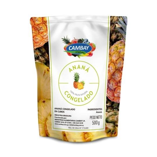 Fiswell_1013278614_1 ANANA CONGELADO X 500G - Imagen 1